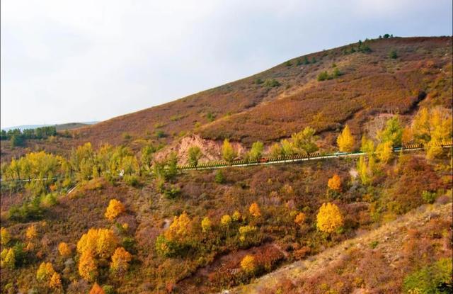 进度已达90%！呼和浩特进入全盛期！最近每天都不一样，呼市人抓紧出门