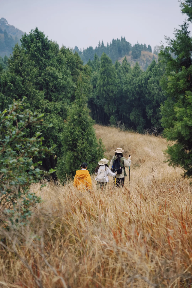 成都秋冬徒步NO.1，这是我见过最美的山脊线，1h可达亲子友好！