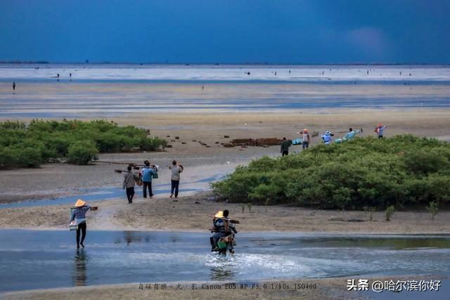 养马岛，海风里的慢时光