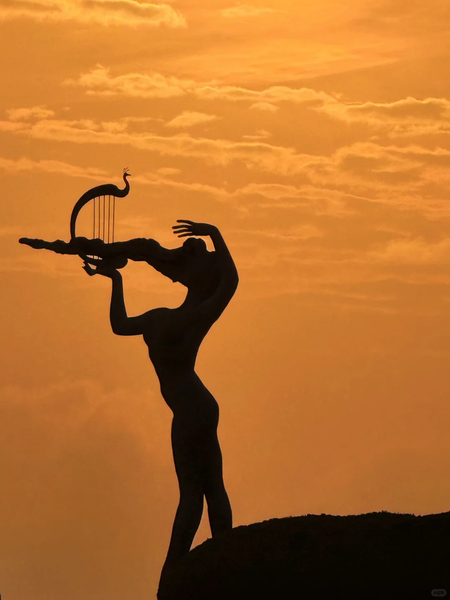 于市南，一日看尽海上花