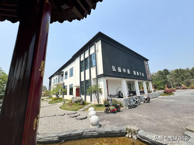 璧善堂中医馆后花园：藏在草木间的中医温情与文化密码
