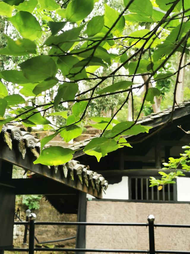 到四川省乐至县旅游两天，见识了真正的人间烟火气