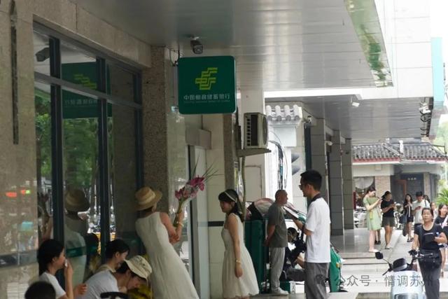 苏州古城区微汗版Cityride，吃面、看荷、围观午后点滴