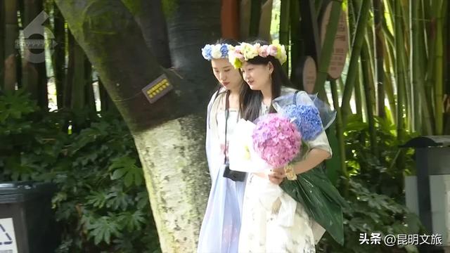 昆明跻身Top6！“十一”机票预订火爆