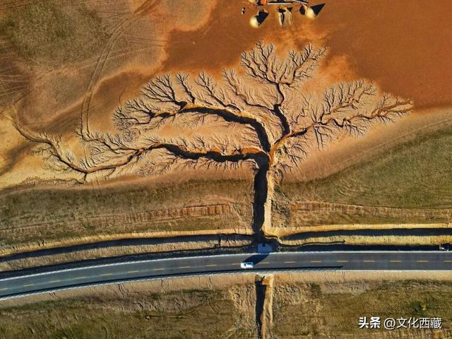 别拦我！我要去中国“最高高高”的城市，大梦一场！