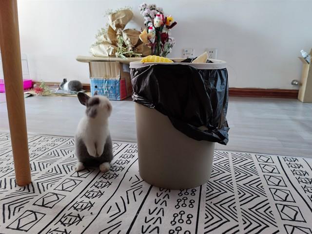 上个月去了趟抚州，我实话实说：当地人的素质让我眼界大开～