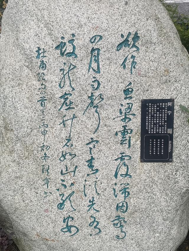 蓉城漫记：在诗与烟火里邂逅成都