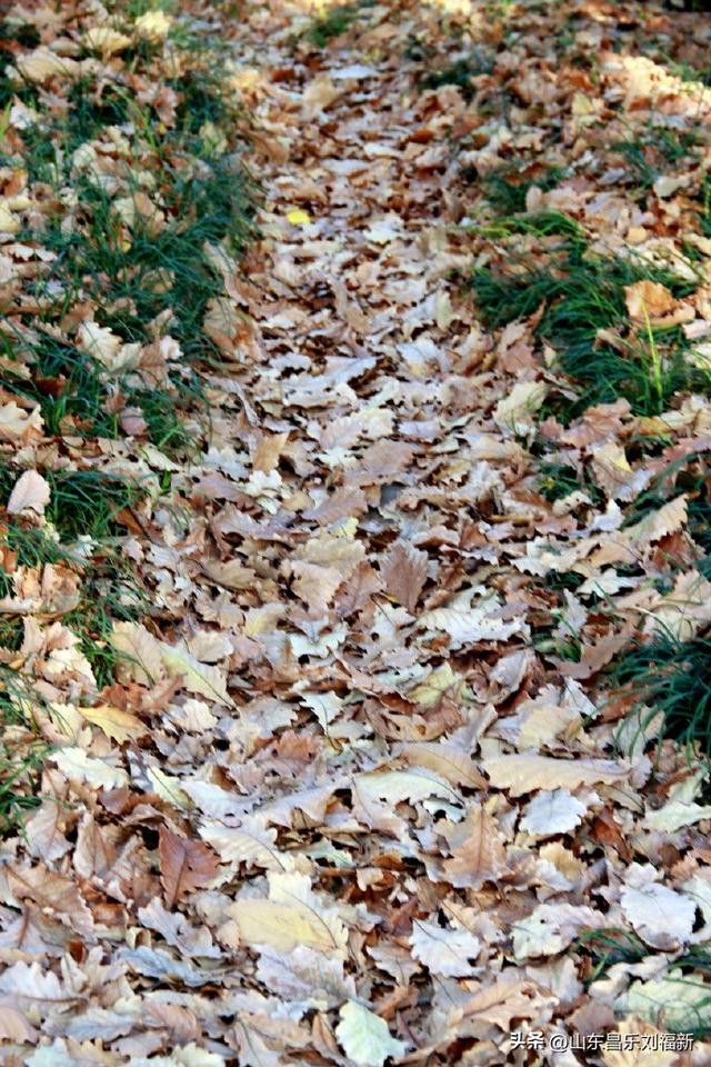 偶遇贾江虹·刘文顺先生来访