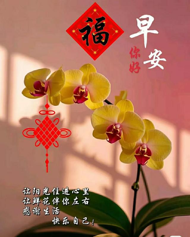 早上好早安祝福美图/静观天边云卷云舒，笑看庭前花开花落