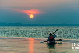 《人生海海》中的5句话，说尽了人生的真谛图片