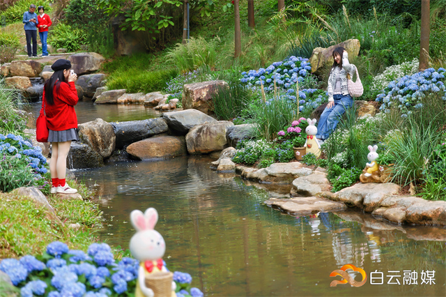 灯会、花展与民俗齐飞！今年过年，就到白云山风景名胜区