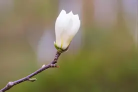 53岁阿姨与大爷再婚10年，大爷住院告她儿子不管：结局令人深思图片