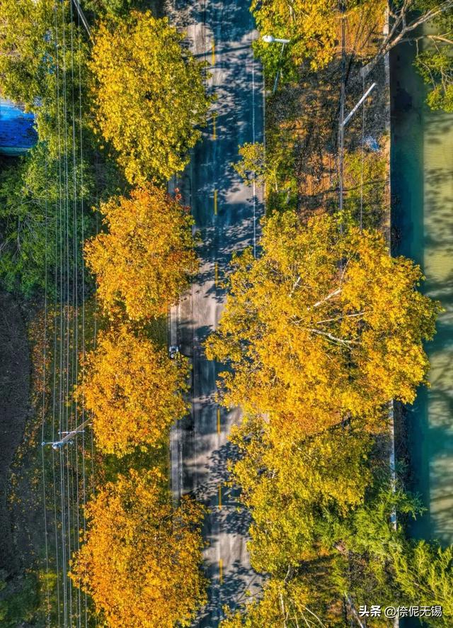 拥堵预警！这周末大家都去......