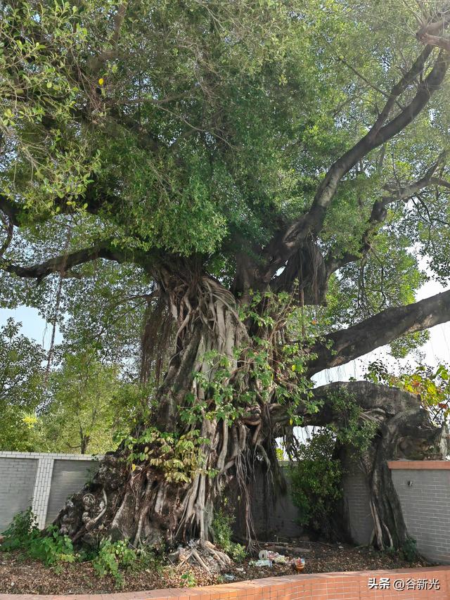 潮风千载：潮州十四律纪游