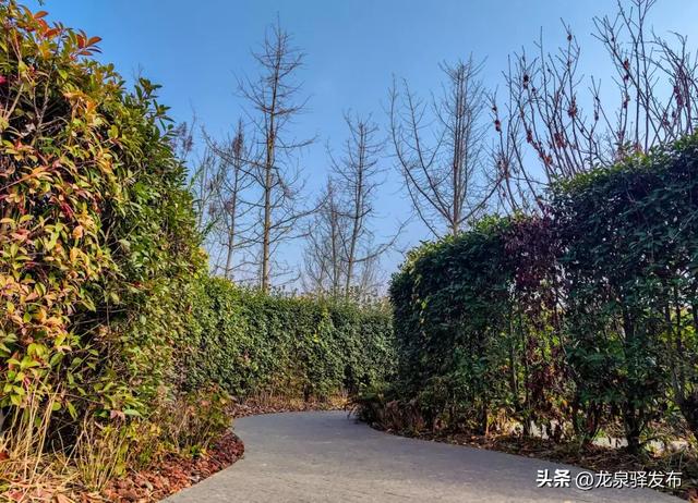 家门口的公园又+1!能遛娃、能夜跑、还能露营→