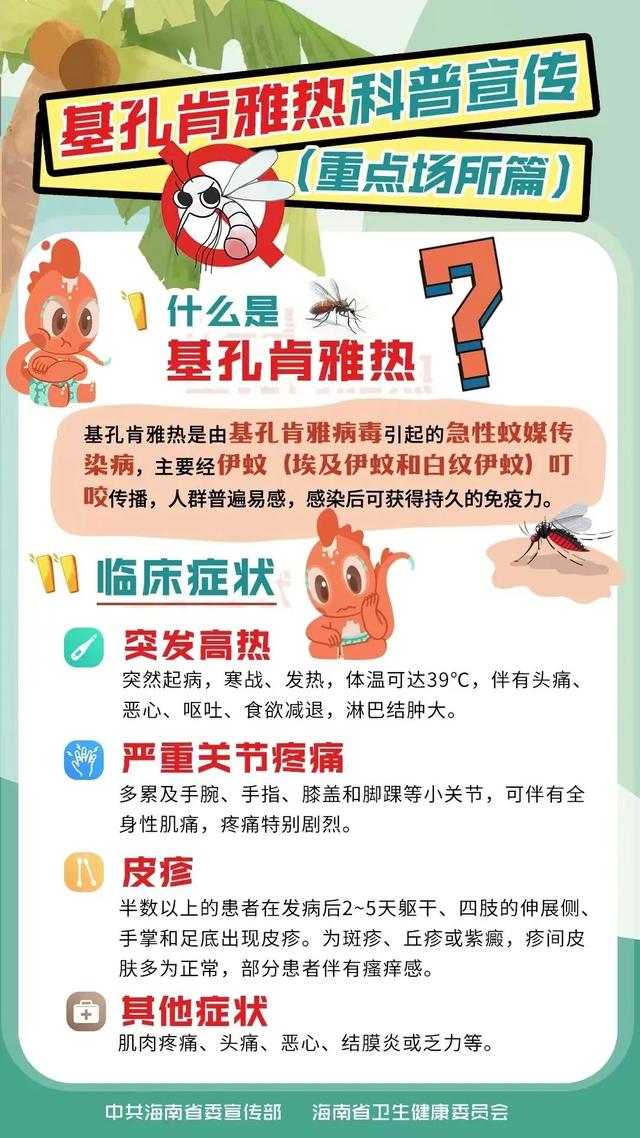 预防基孔肯雅热,万宁旅文行业在行动