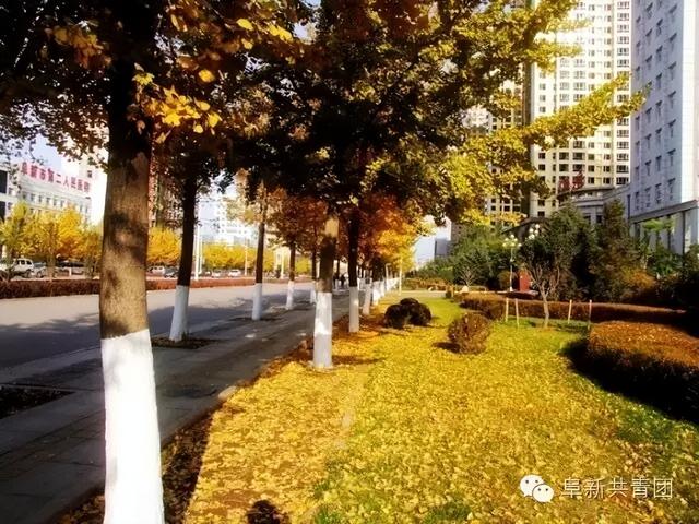 对不起！阜新，向全中国道歉！