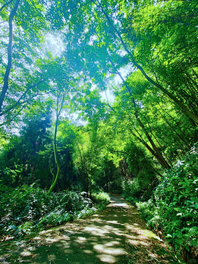 成都1.5h闯进免费"小九寨"，耍水露营钓鱼徒步，遛娃避暑N刷地！