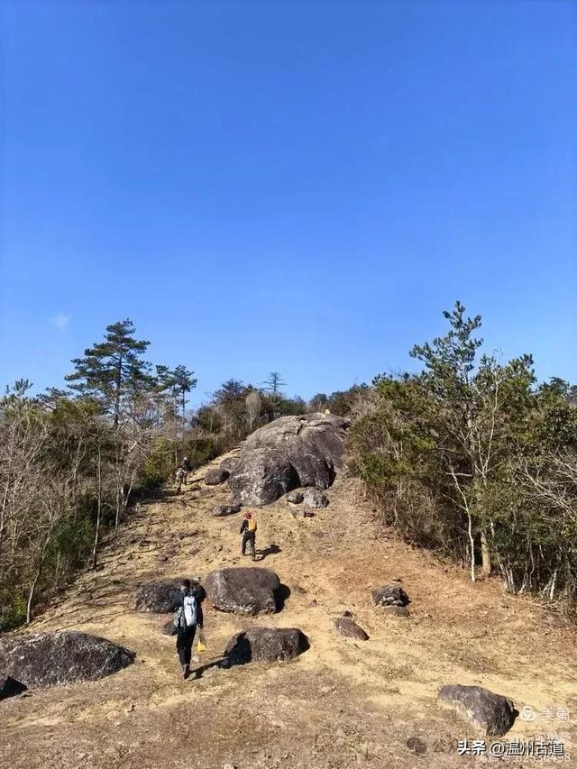 邂逅2026年的第一场醉美雾凇！温州四海山的雾凇美爆了！