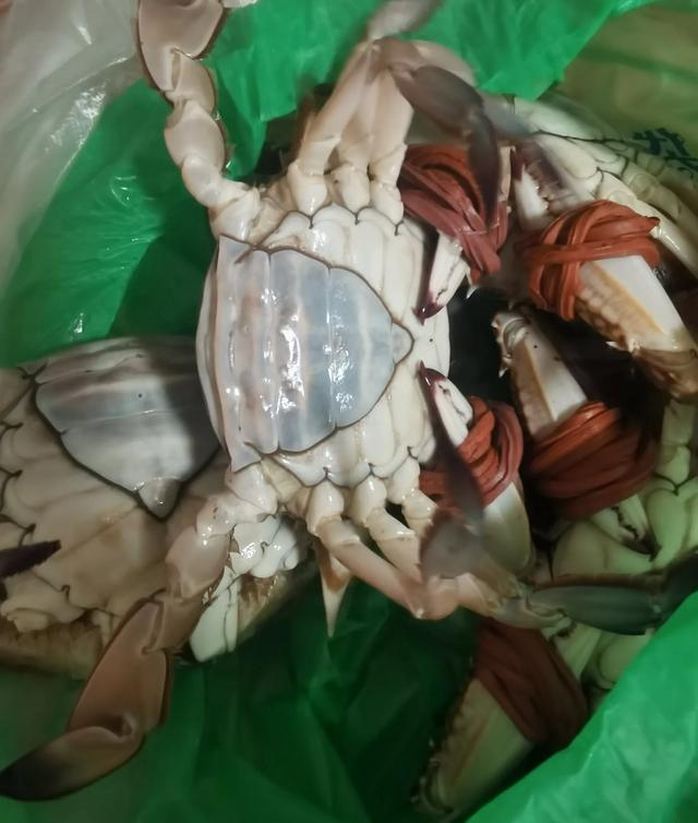 菠菜和花胶可以同吃吗 2025年菠菜可以和花胶一起吃吗 菠菜和花胶可以同吃吗 2025年菠菜可以和花胶一起吃吗