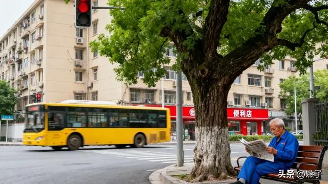 天津“三环”不叫一二环：内环线藏着老味道