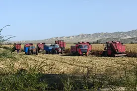 三明援疆 | 明玛心手相牵 产业结出硕果图片