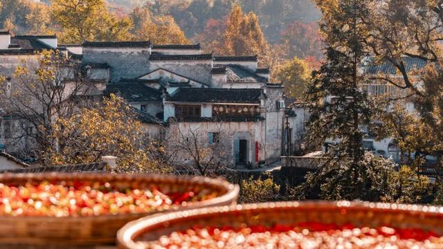 别再只去宏村了！这座水墨小城，藏着大半个徽州的秋，美得更诗意