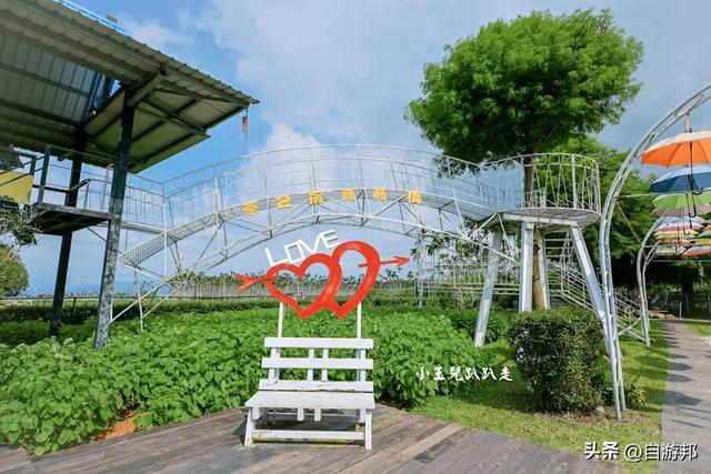南投名间景点 天空步道、茶园秘境、品味台湾茶文化