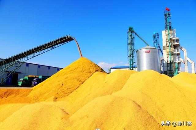 美启动111亿对台军售	，不到24小时收到报告：中方取消13万吨订单