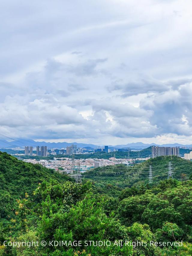 深圳徒步！超适合新手小白的3条郊野径路线，地铁公交直达还免费