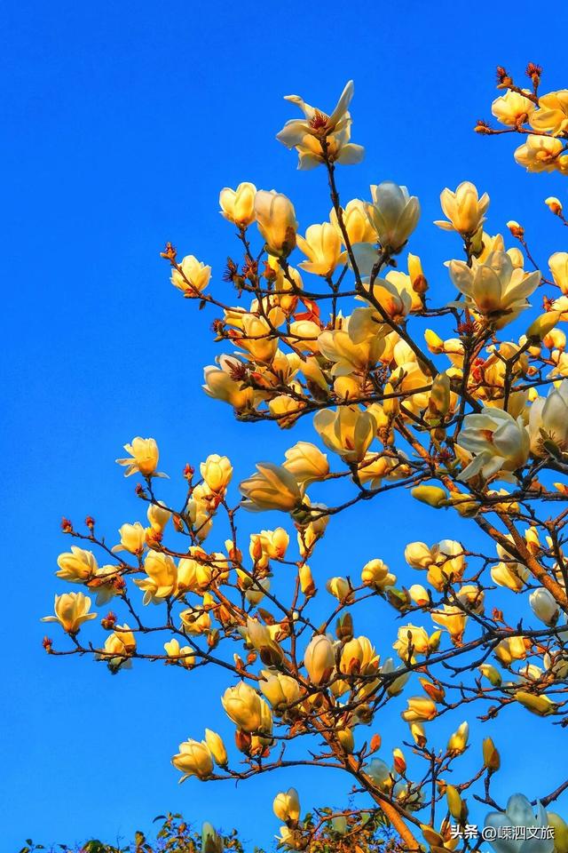 接下来的嵊泗是这样的……