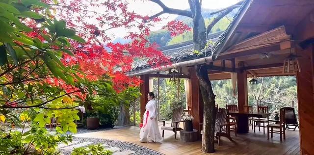 已进入最佳观赏期！邵阳这里美成油画，随手一拍就是壁纸