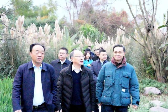 【美丽四川】李后强：现代“桃花源”海花沟：一日有四季