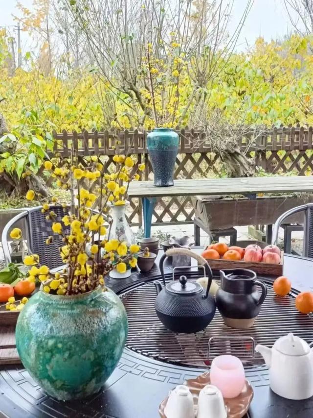 寒风再烈、冬日再冷，蜡梅照样艳压全场！