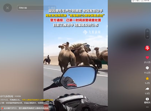 摩旅青海被牧民打头后续！7峰骆驼丢失，当地人发声 骑手有错在先
