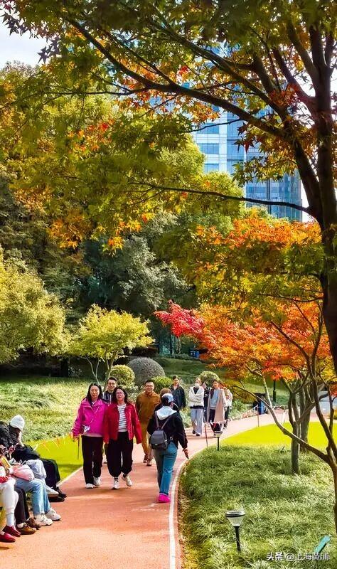 黄浦秋日调色盘已就位！市中心这处绿地人少景美超出片