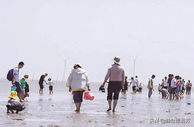 去了趟江苏盐城，真心建议：不要随便去盐城，除非你有一个好胃口