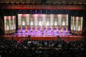 印度歌舞点燃2024年“精彩夜吉林”消夏演出季图片