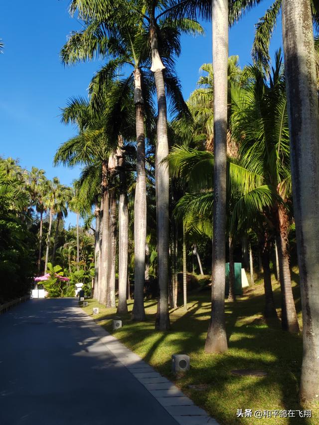 厦门植物园：邂逅自然的绮梦
