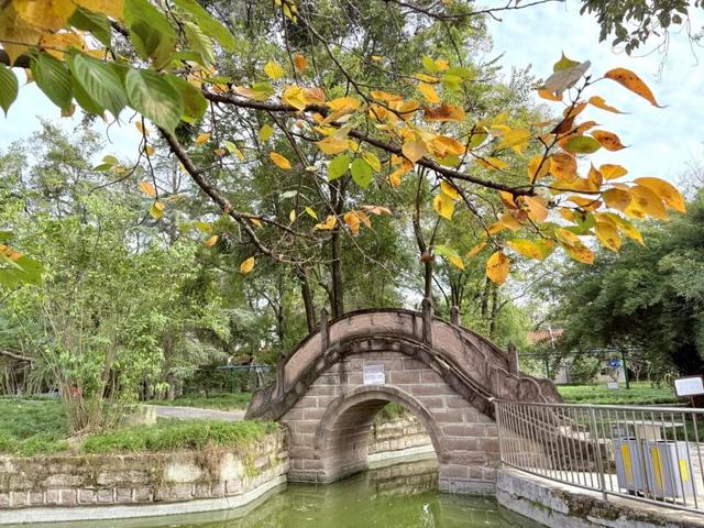 走！晒太阳去！