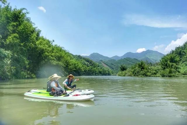 广州自驾1.5h，周边3家稻田野奢山居民宿丨南方民宿