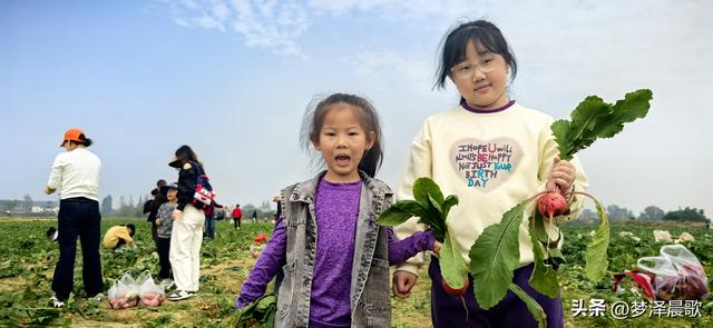 周末新玩法：云梦博物馆看秦简，新马村拔萝卜，武汉家庭乐翻天