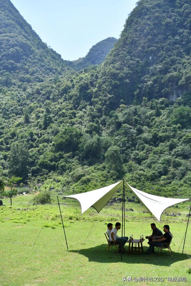 来鹿寨做夏天最爽的“野生代言人”