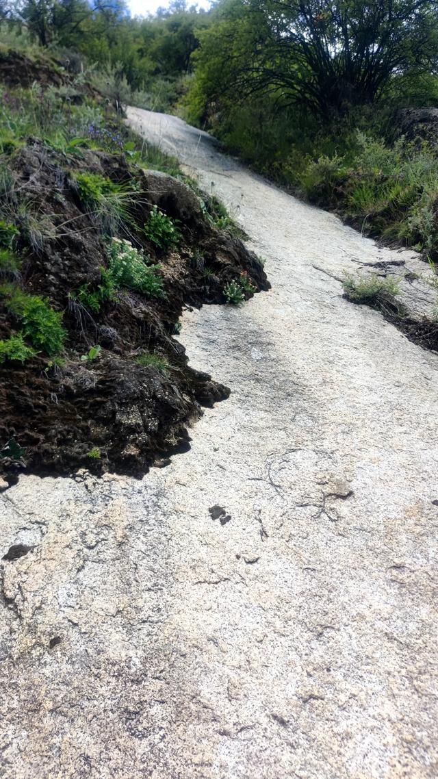 爬拉萨哲蚌寺后山，从海拔3600米到山顶5300米，上下20公里