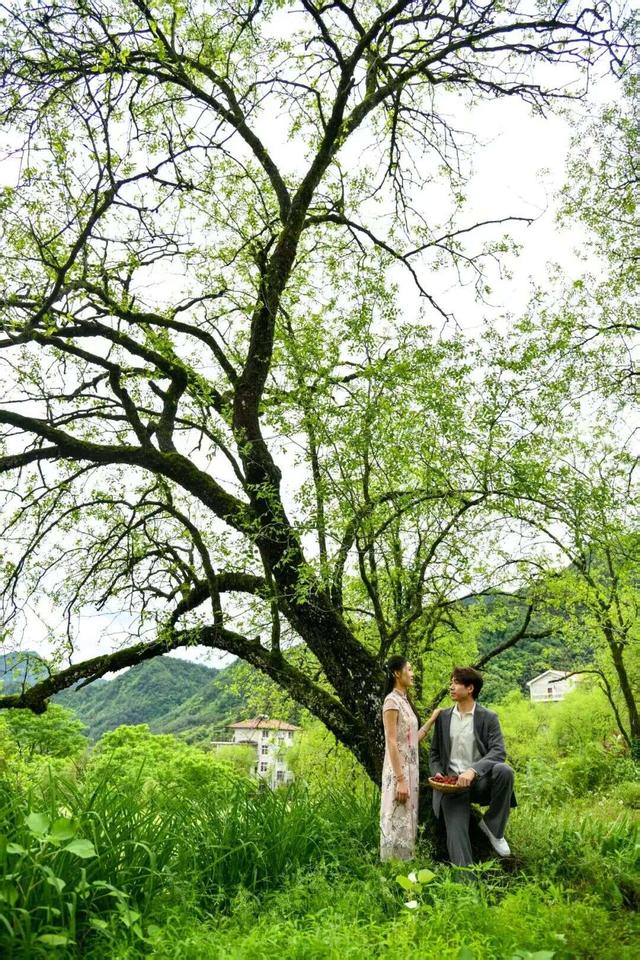 显后村：一个作家的采访掠影