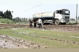 四川旱情苗头初显，约10万亩在田作物受旱图片