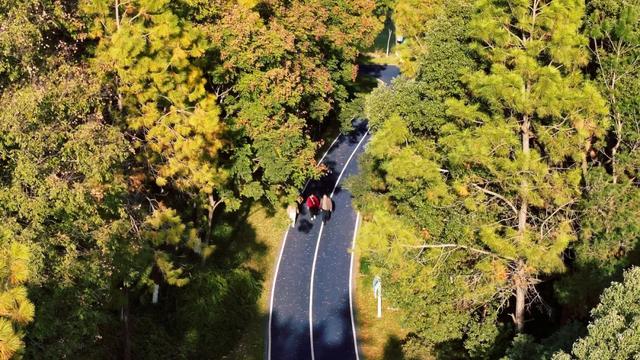 这样的张家港，我“All in”了！