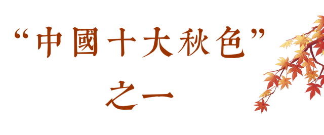 第二十四届吉林·蛟河长白山红叶旅游季启幕
