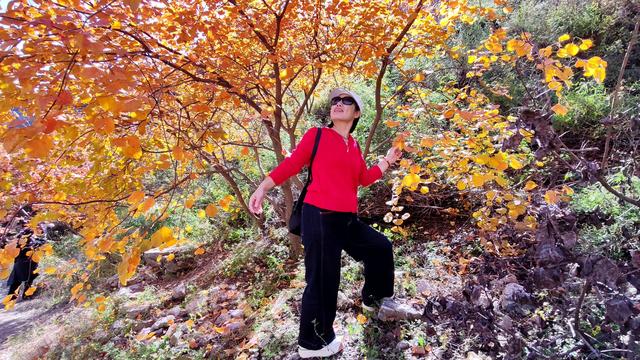 花最少的钱，看最美红叶，邢台佛照山，我们坐火车公交来啦