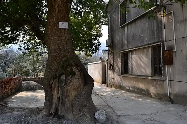 被人遗忘的苏州东村古村